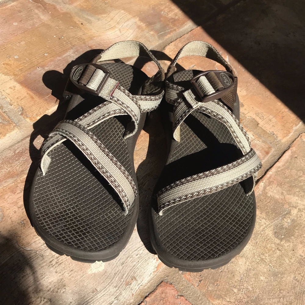 Brown and Tan Chaco's